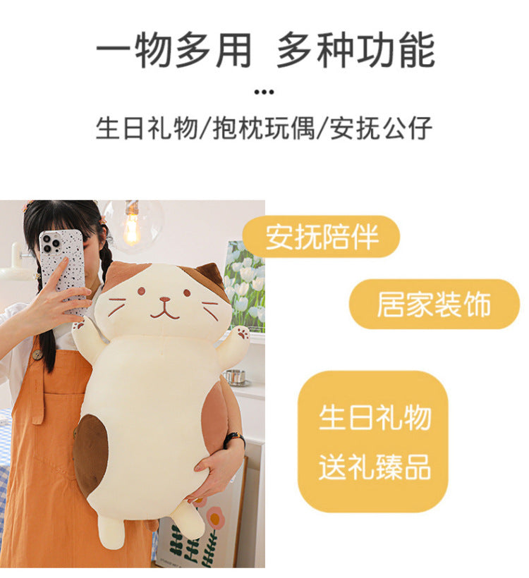 Your Purr-fect Cuddle Buddy for a Cozy Night's Sleep.