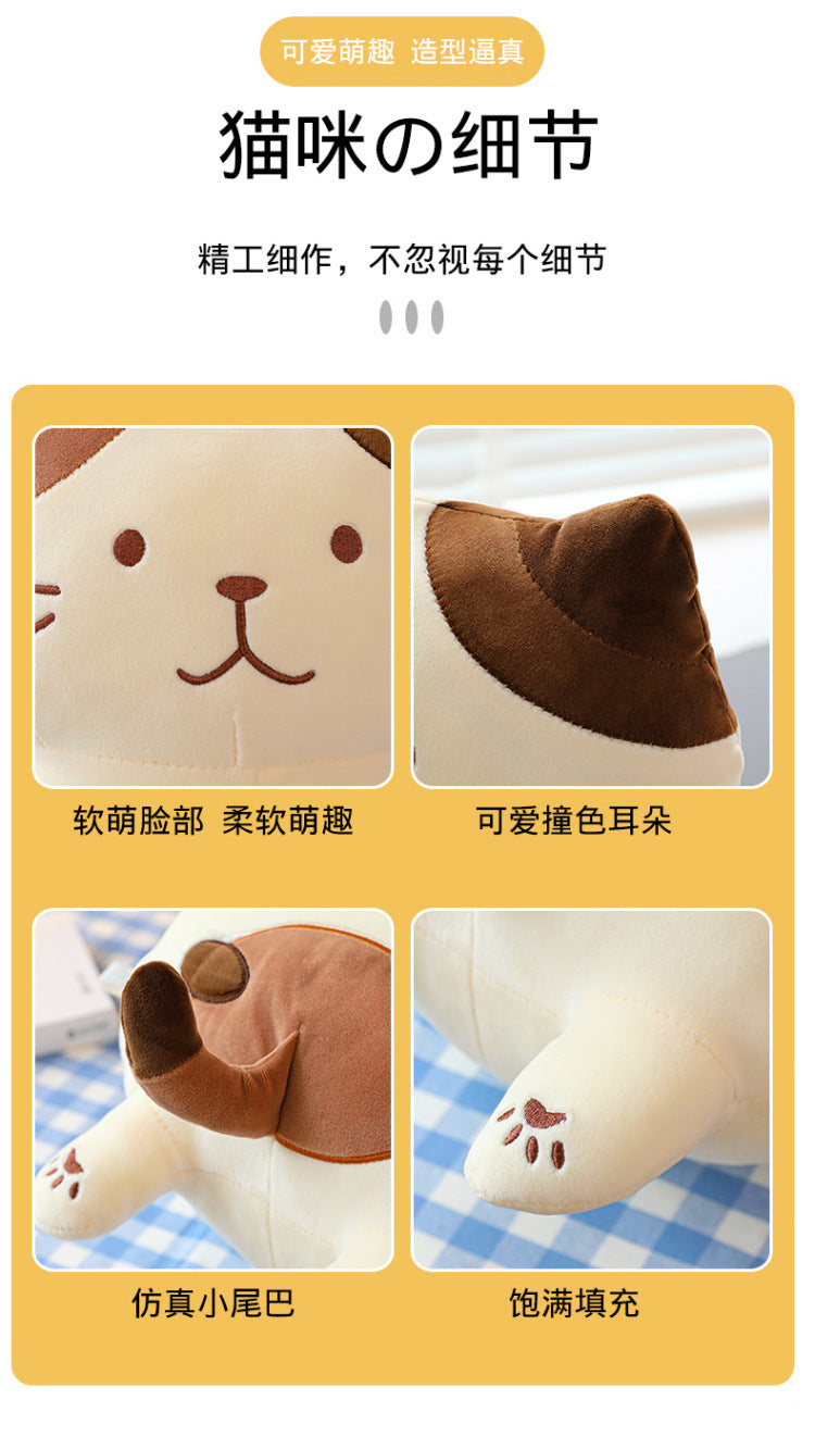 Your Purr-fect Cuddle Buddy for a Cozy Night's Sleep.