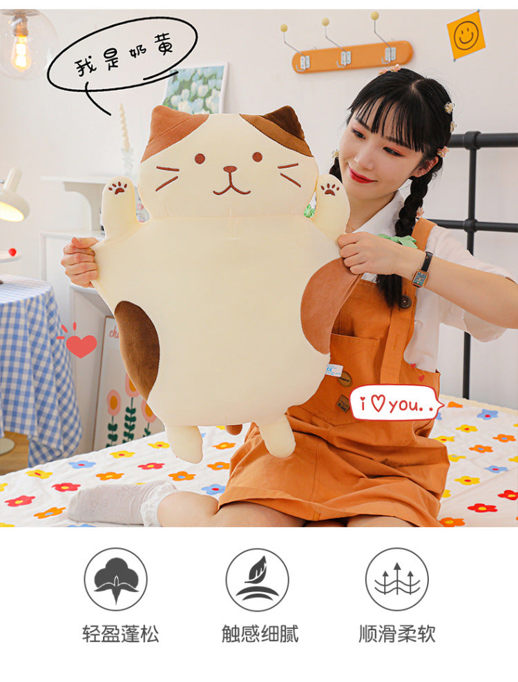 Your Purr-fect Cuddle Buddy for a Cozy Night's Sleep.