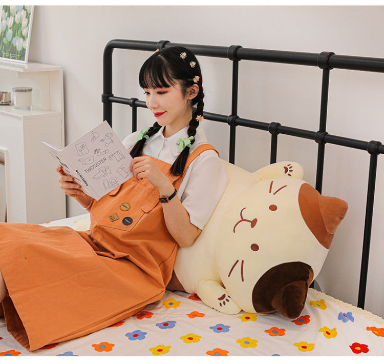 Your Purr-fect Cuddle Buddy for a Cozy Night's Sleep.