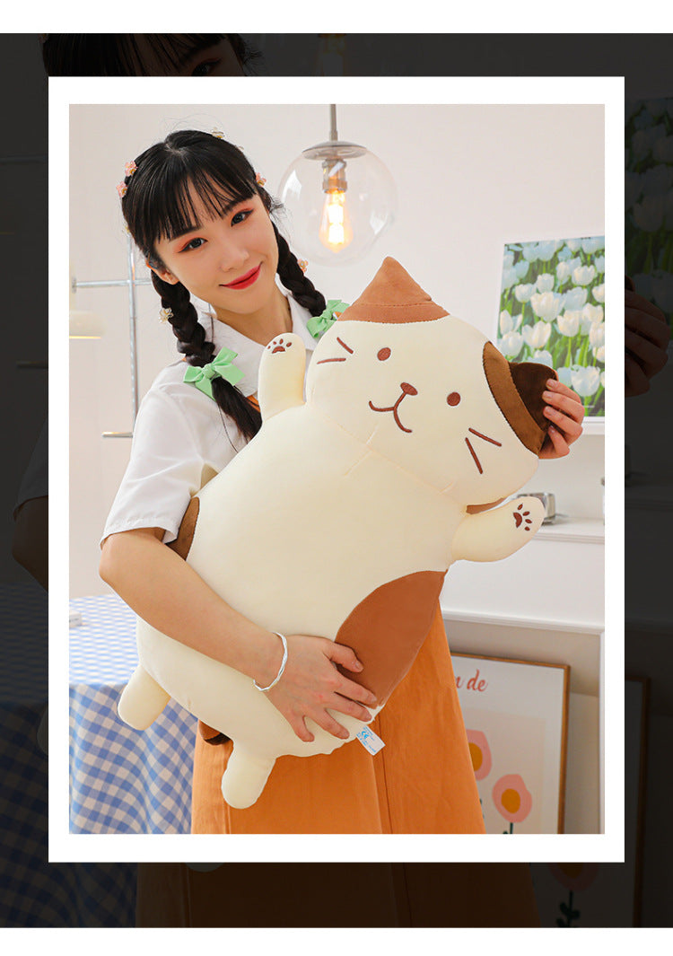 Your Purr-fect Cuddle Buddy for a Cozy Night's Sleep.