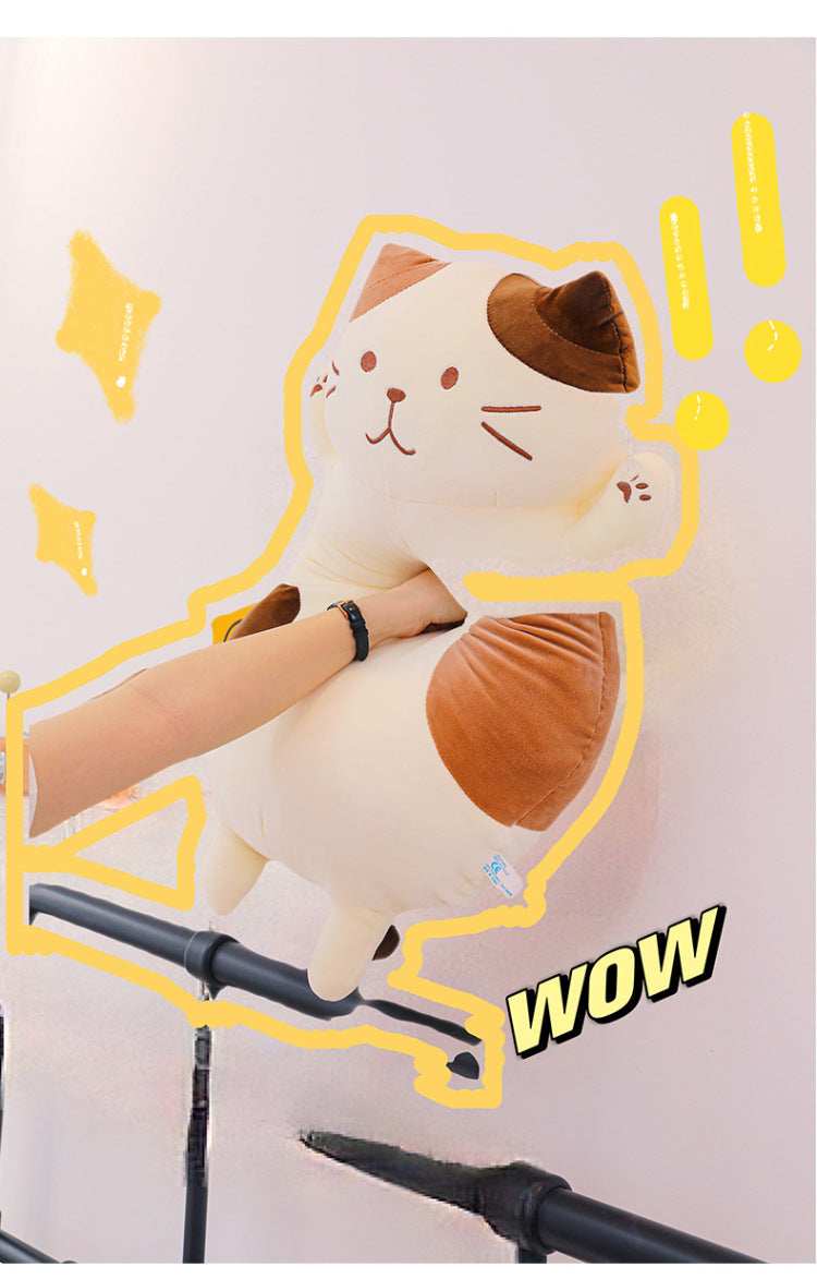 Your Purr-fect Cuddle Buddy for a Cozy Night's Sleep.