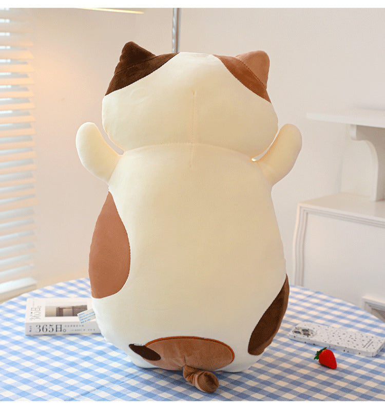 Your Purr-fect Cuddle Buddy for a Cozy Night's Sleep.