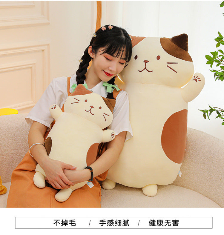 Your Purr-fect Cuddle Buddy for a Cozy Night's Sleep.