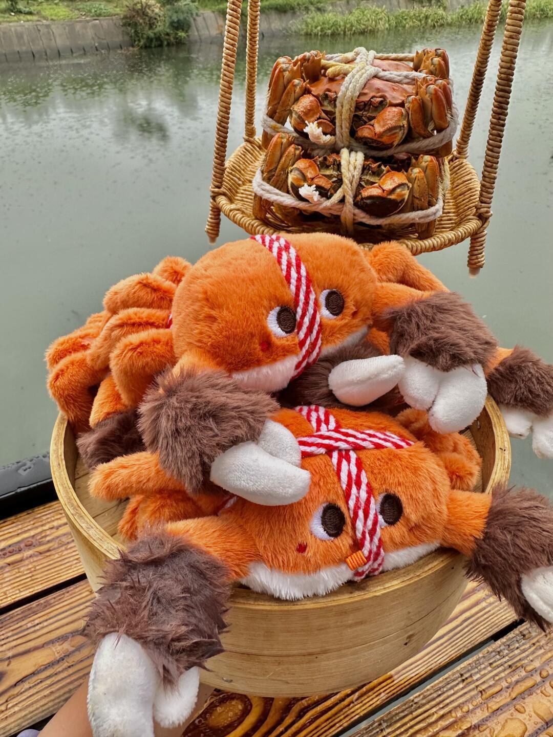 Christmas Crab Ornament: Adorable Plush Crab Keychain | Unique Xmas Tree Decoration & Stocking Stuffer Random color of lanyard