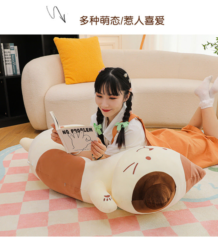 Your Purr-fect Cuddle Buddy for a Cozy Night's Sleep.