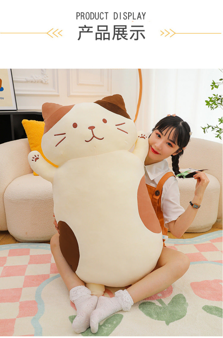 Your Purr-fect Cuddle Buddy for a Cozy Night's Sleep.